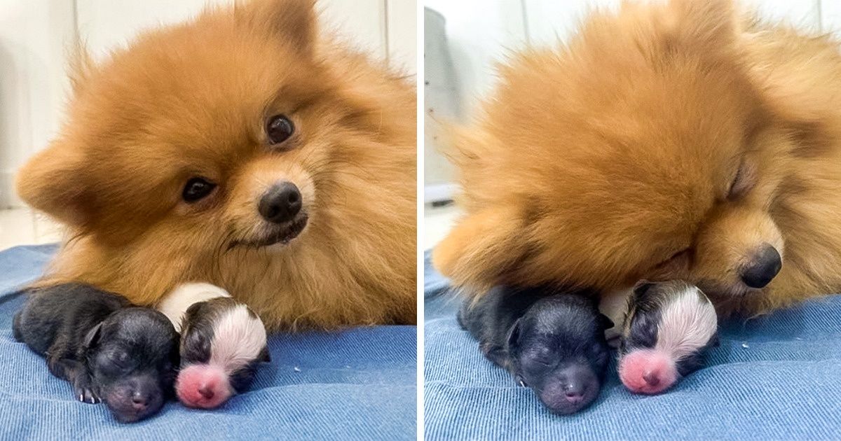 20 zdjęć pokazujących, co oznacza macierzyństwo