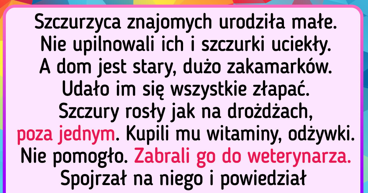 15 życiowych historii, które zrozumieją tylko ci, którzy mają zwierzęta 15 życiowych historii, które zrozumieją tylko ci, którzy mają zwierzęta