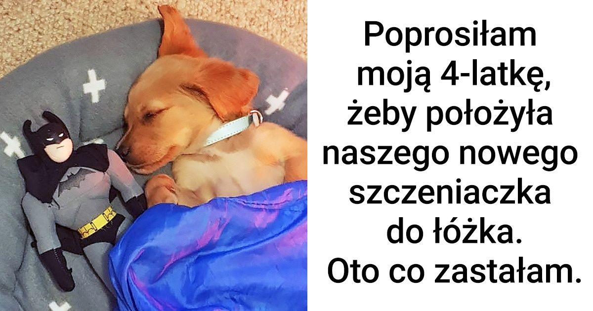 15 zdjęć, które poprawiają humor lepiej niż serotonina