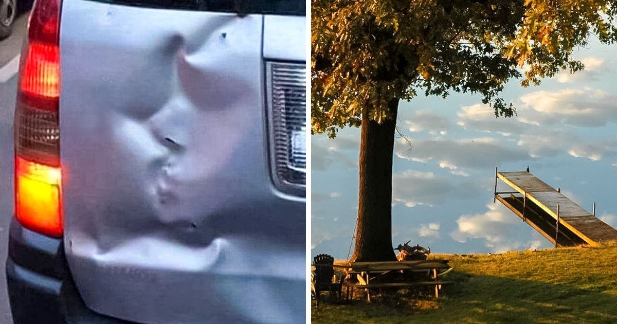 20 zdjęć, które robią wrażenie — wystarczy tylko dobrze się przyjrzeć