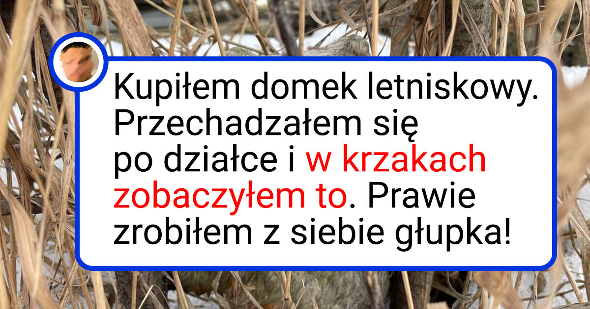 18 osób zobaczyło coś, co zjeżyło im włosy na głowie 18 osób zobaczyło coś, co zjeżyło im włosy na głowie