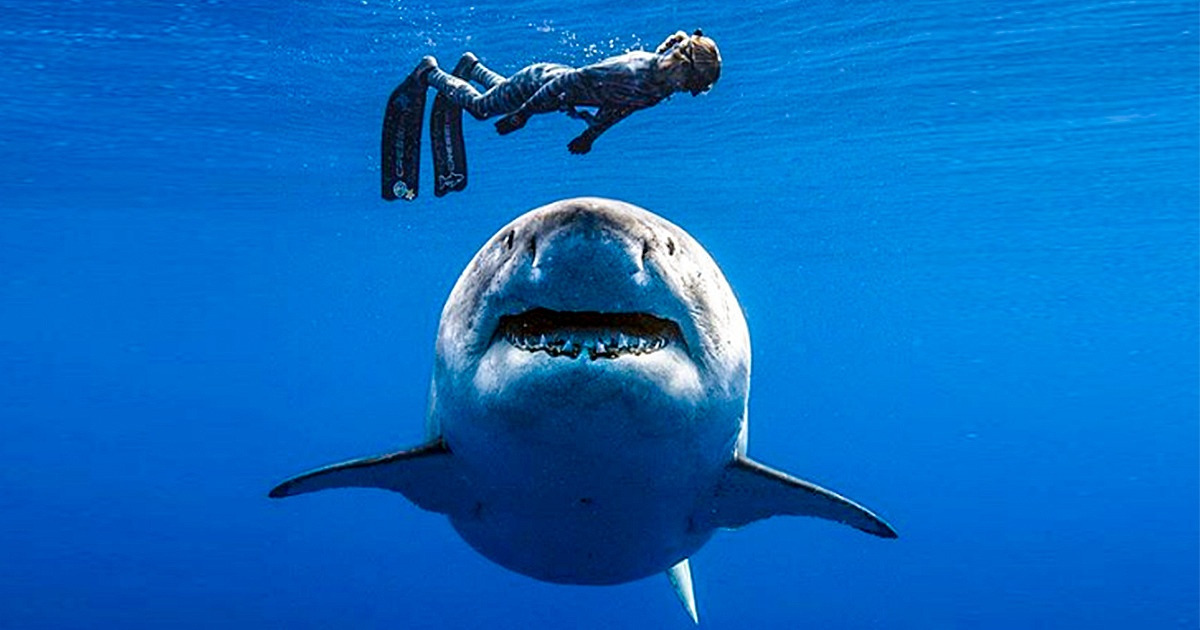 19 momentów z życia, które wyglądają jak filmowe sceny