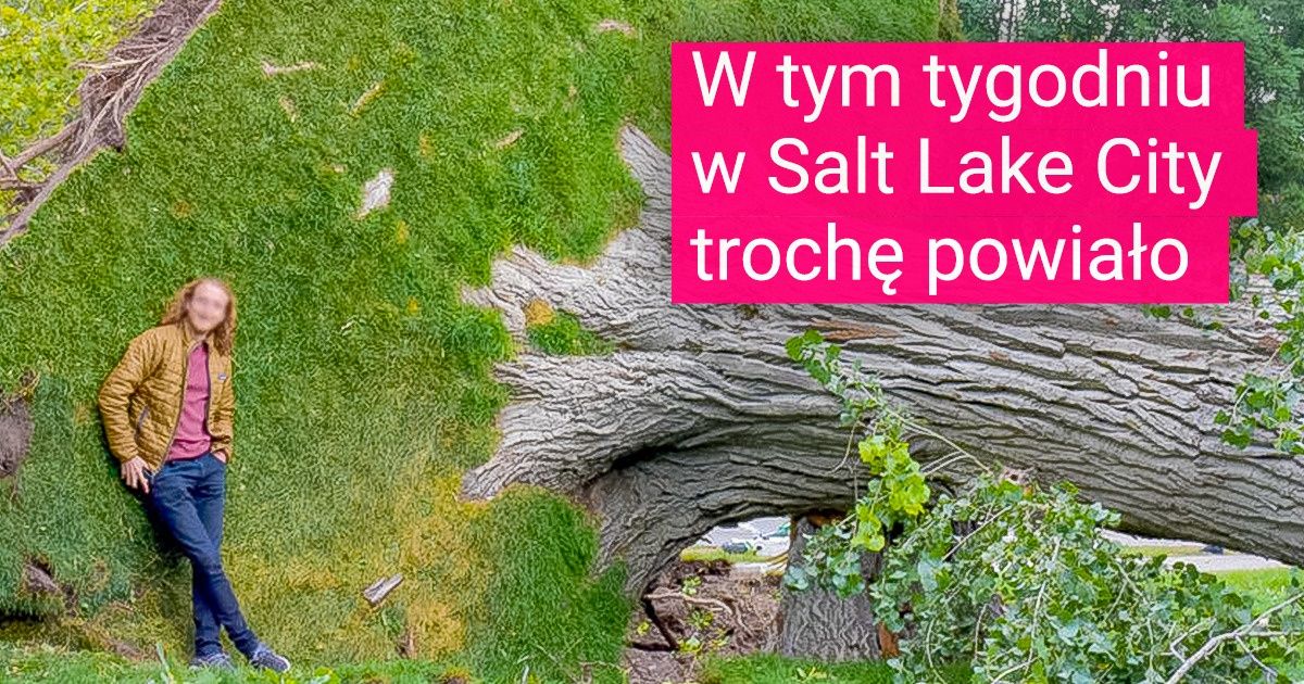 Cuda natury są na wyciągnięcie ręki (25 zdjęć)
