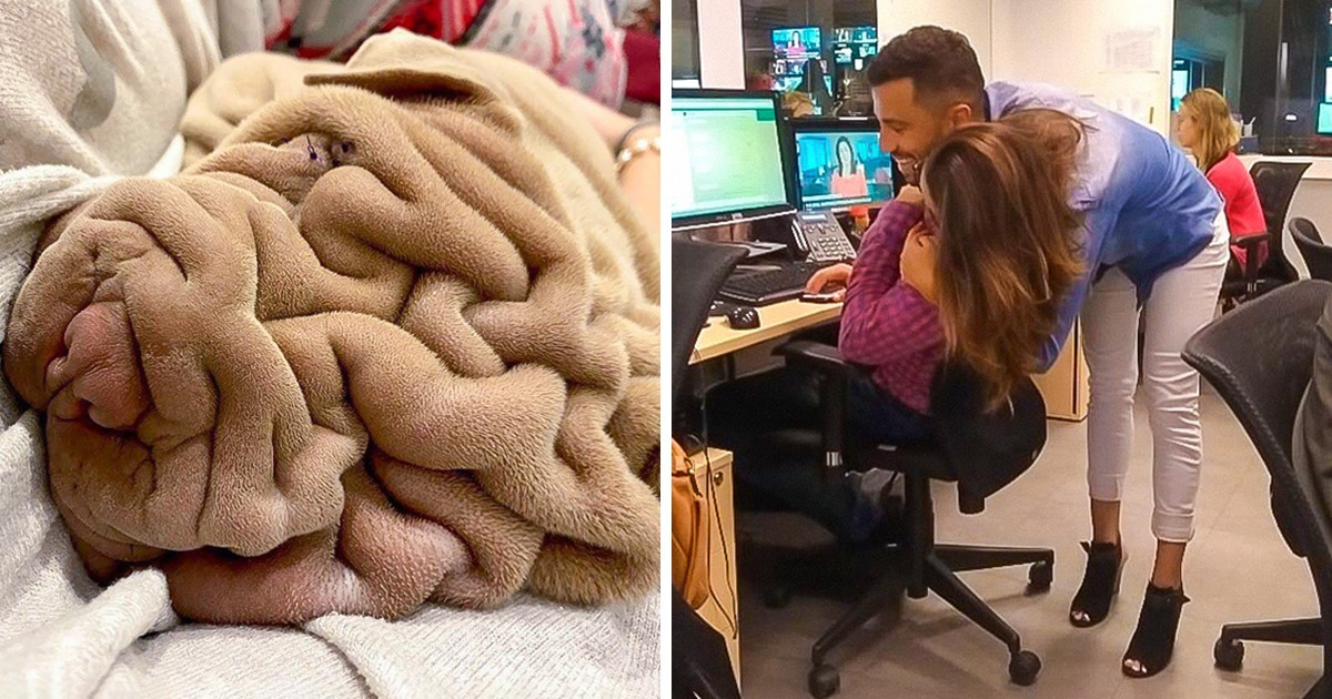 19 zdjęć, które mogą kompletnie namieszać ci w głowie