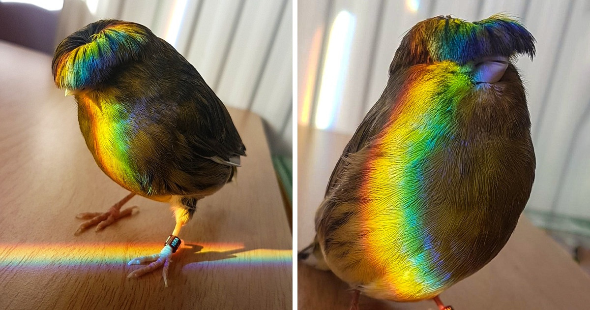 20 zdjęć, które sprawią, że krzykniesz „wow”