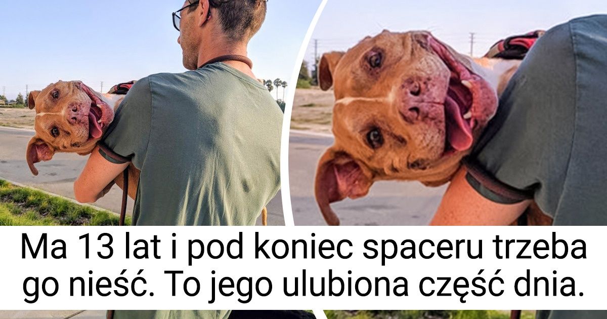15 osób, które bezgranicznie kochają swoje zwierzaki
