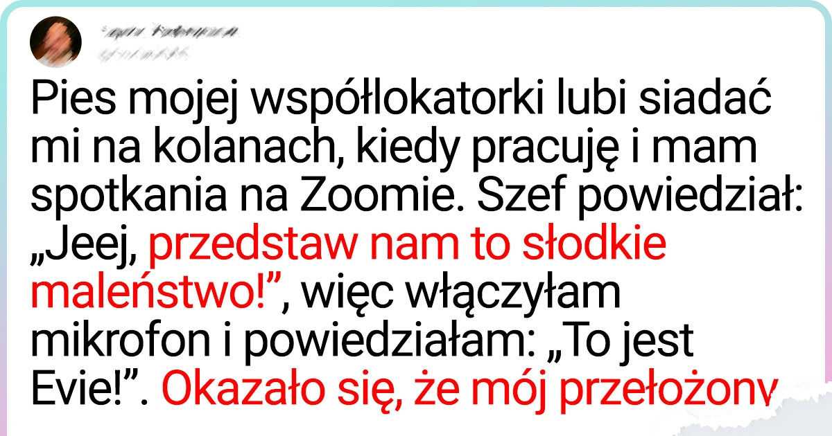 19 przezabawnych tweetów, które każdy z nas dobrze rozumie