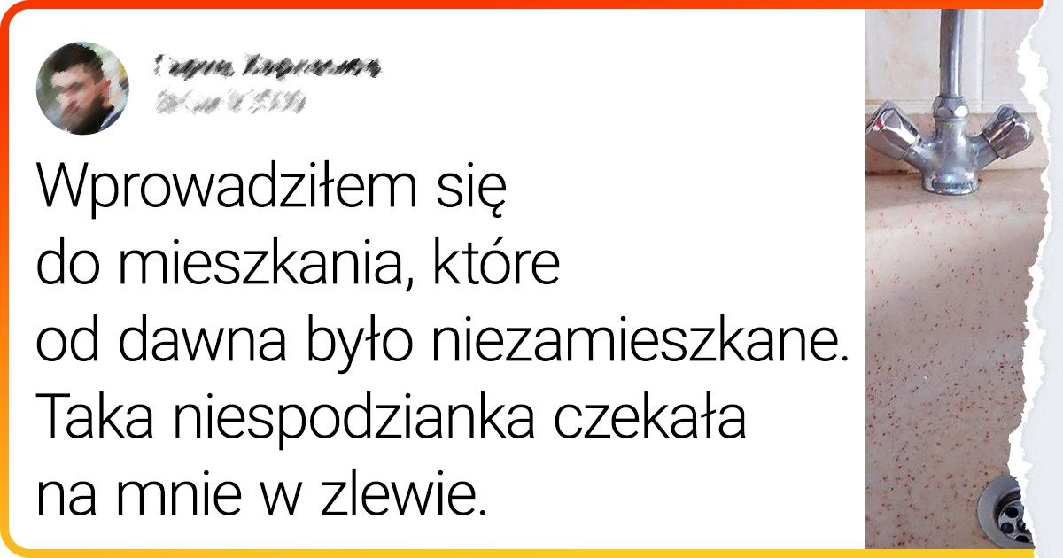 16 momentów, gdy natura podarowała ludziom wyjątkowe prezenty