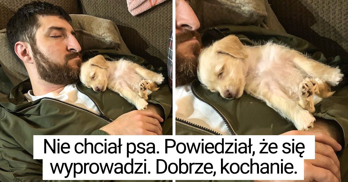 20 zdjęć pokazujących, że można odnaleźć miłość w najmniej oczekiwanych miejscach