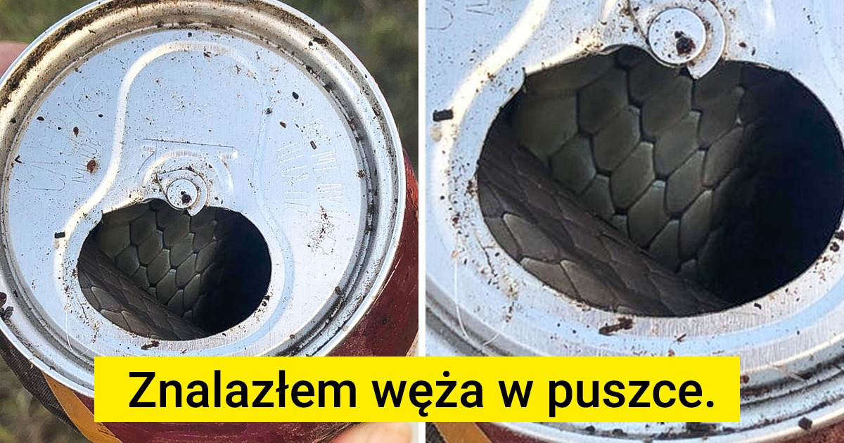 16 dziwnych odkryć, na widok których ludzie przecierali oczy ze zdumienia