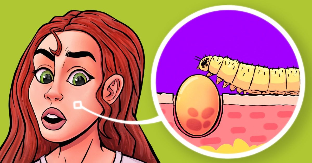 Okazuje się, że nocą na naszej twarzy grasują miliony niewidzialnych robaków Okazuje się, że nocą na naszej twarzy grasują miliony niewidzialnych robaków