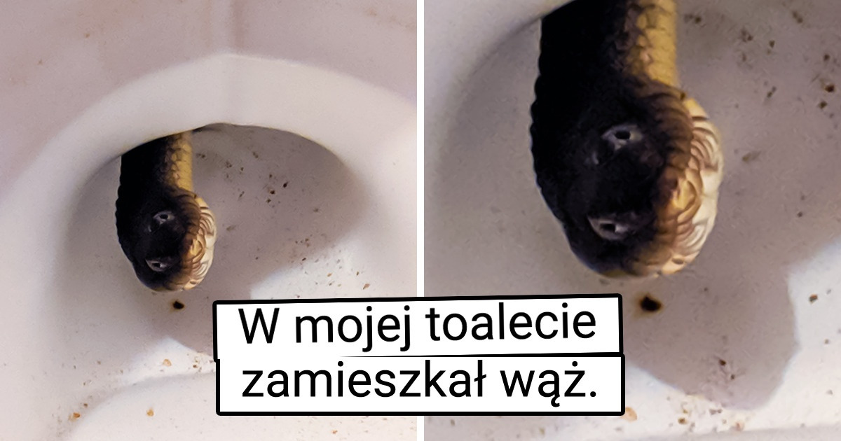18 zdjęć, które sprawią, że spojrzysz na świat z zupełnie innej perspektywy