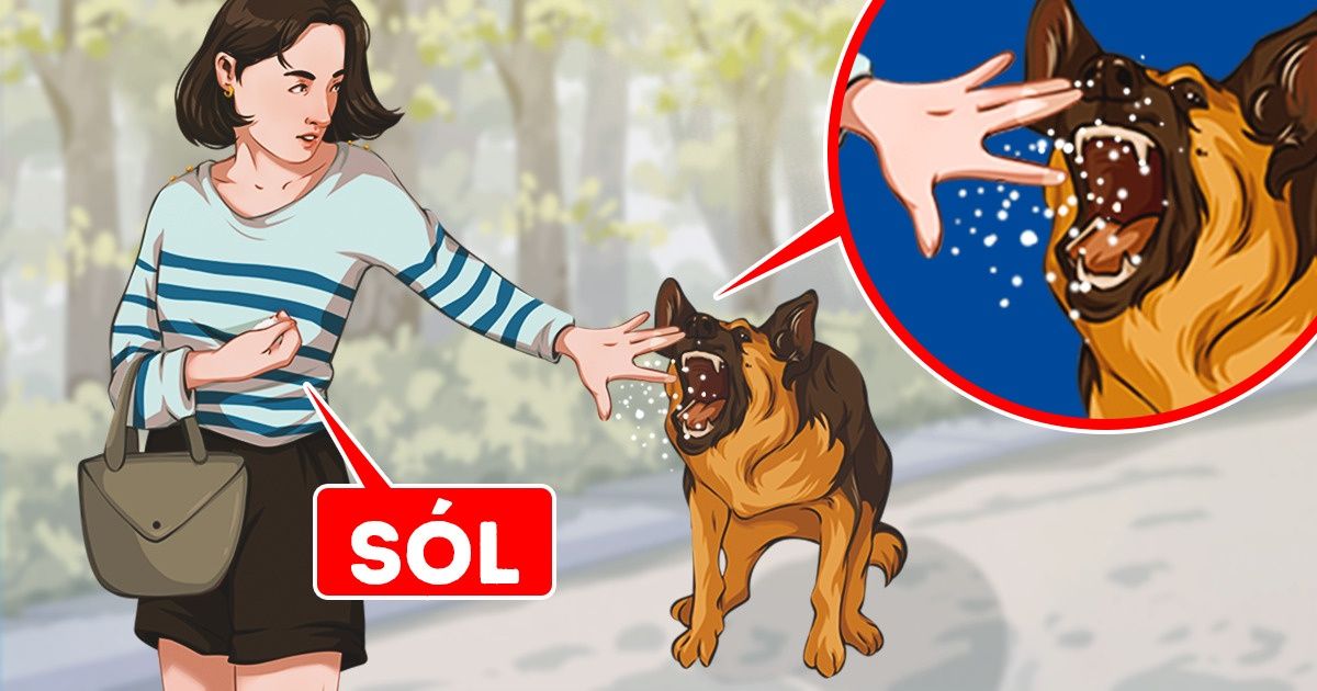 8 przydatnych rzeczy, które na wszelki wypadek powinniśmy mieć w torebce