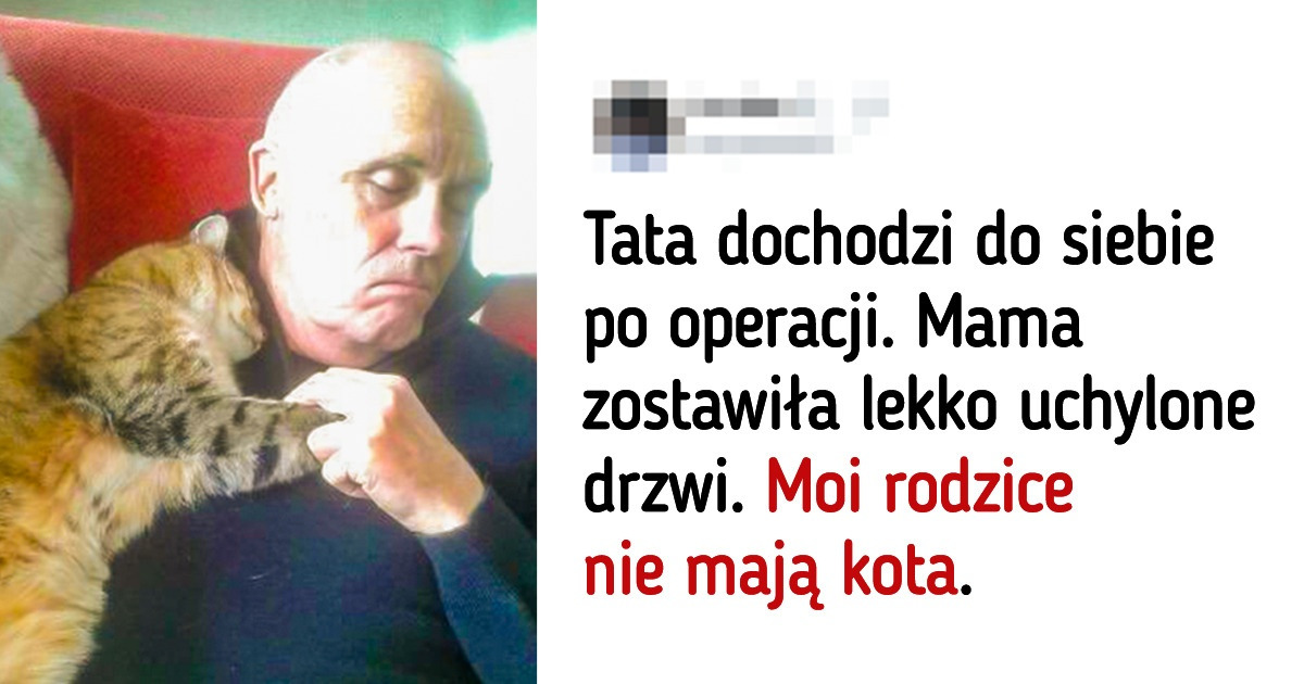 22 zdjęcia, które udowadniają, że każda rodzina potrzebuje zwierzaka