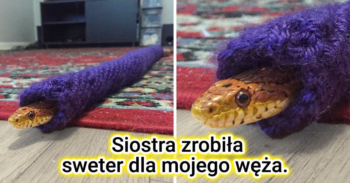 24 osoby, które stawiają czoła wyzwaniom w unikatowy sposób
