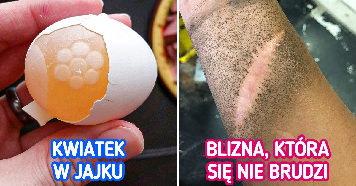 19 zwykle niezauważanych rzeczy, na które ktoś jednak zwrócił uwagę