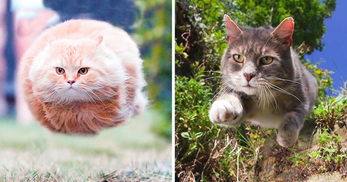 15 zdjęć zrobionych w idealnym momencie