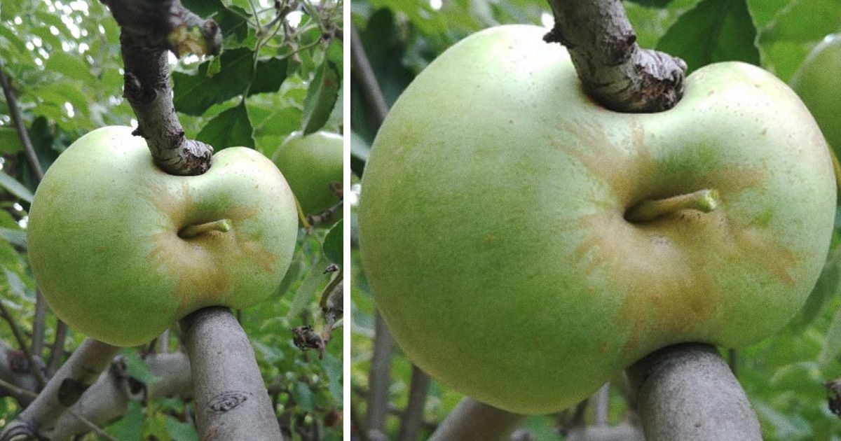 17 niesamowitych zdjęć, na widok których opadła nam szczęka z wrażenia