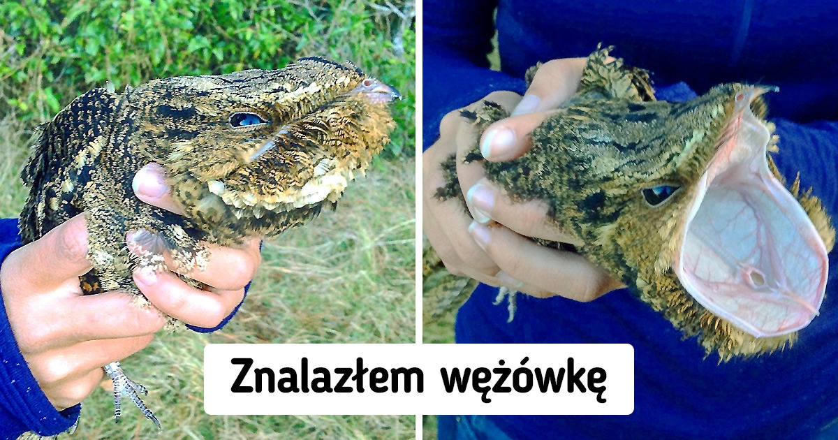 15 sytuacji, kiedy świat się znudził i postanowił dać pokaz swoich możliwości