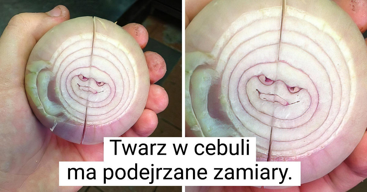 20 zdjęć, które udowadniają, że wszystko może być dziełem sztuki
