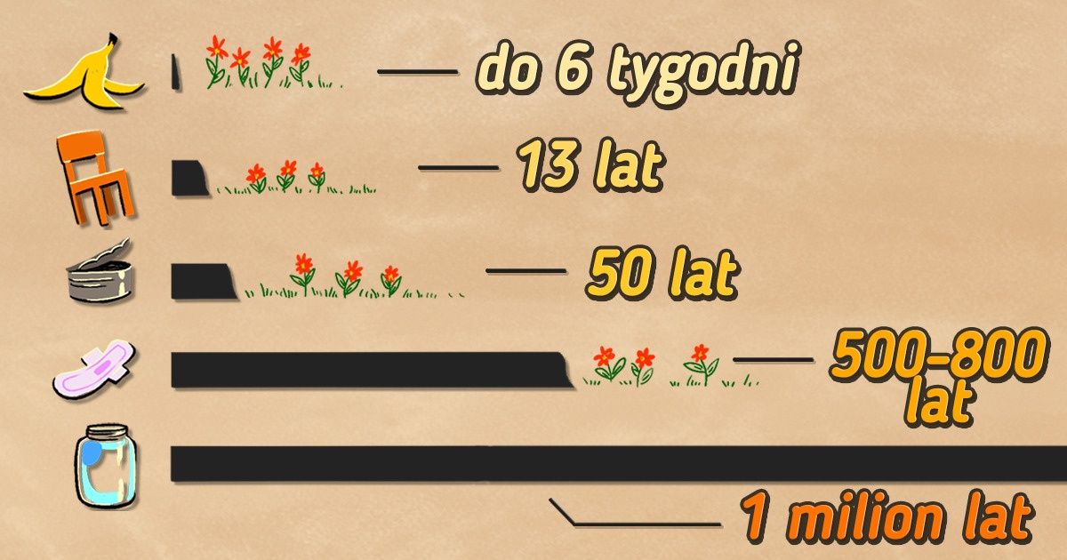 Jak prawidłowo pozbywać się odpadów Jak prawidłowo pozbywać się odpadów