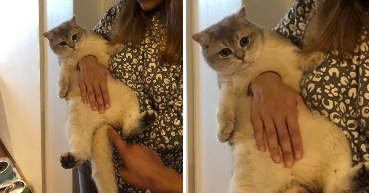 15 zdjęć, które sprawią, że przetrzesz oczy ze zdziwienia