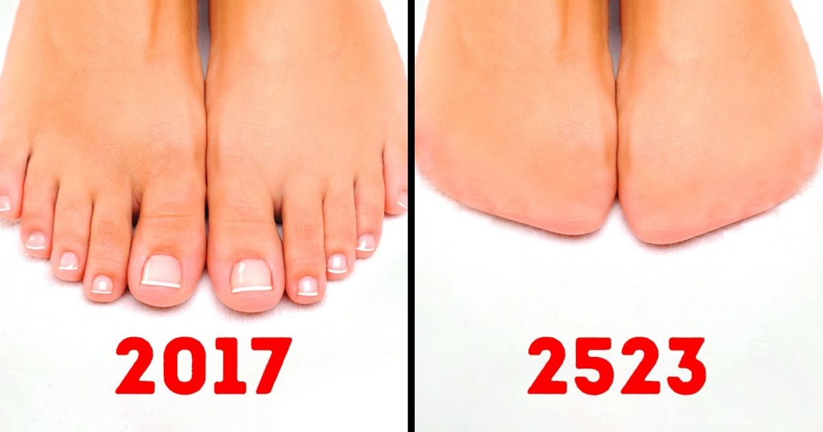 15 części ludzkiego ciała, które w przyszłości zanikną 15 części ludzkiego ciała, które w przyszłości zanikną