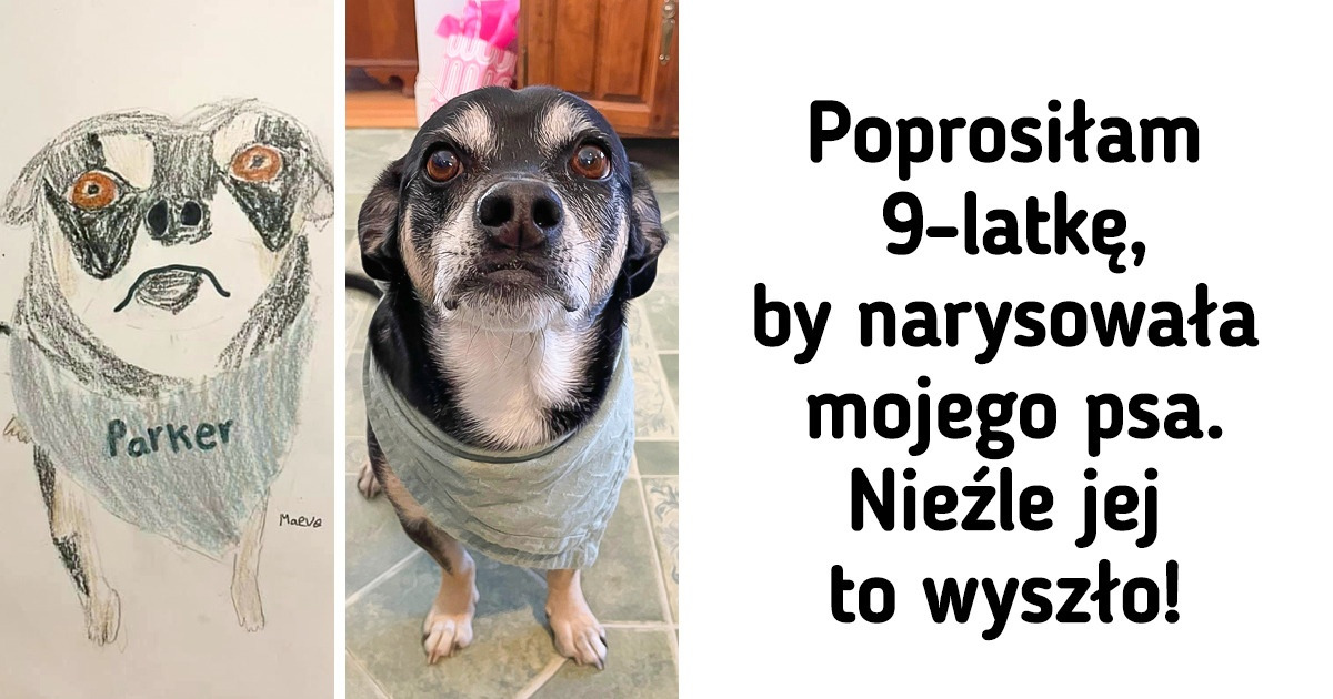 17 momentów, kiedy przyjaźń i życzliwość przekroczyły wszelkie bariery