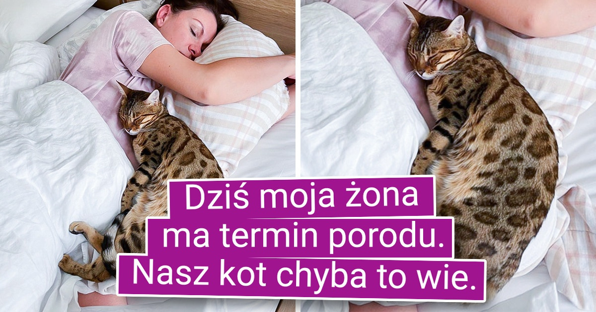 18 zdjęć, które pokazują, jak szczerą miłością darzą nas zwierzęta