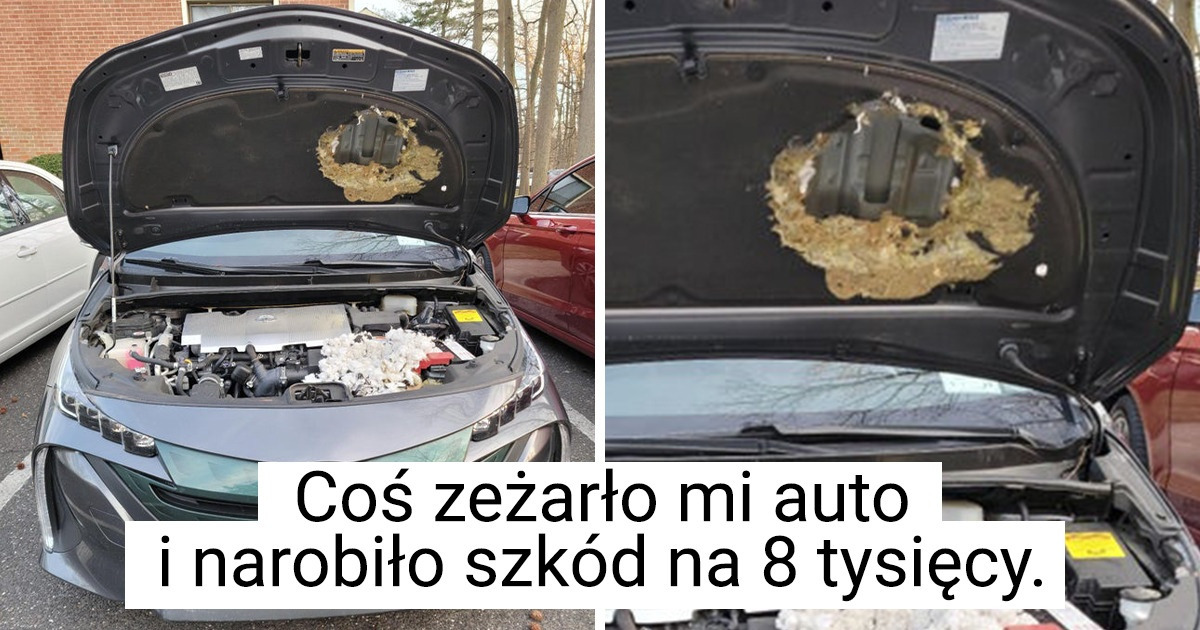 16 osób, które chciałyby mieć nieco lepszy dzień