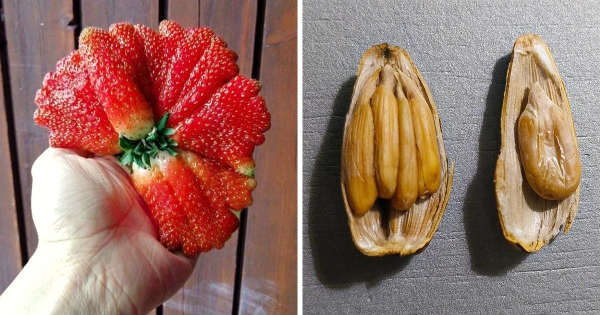 Matka Natura zaskoczyła nas kolejne 22 razy, łamiąc przy tym wszelkie reguły