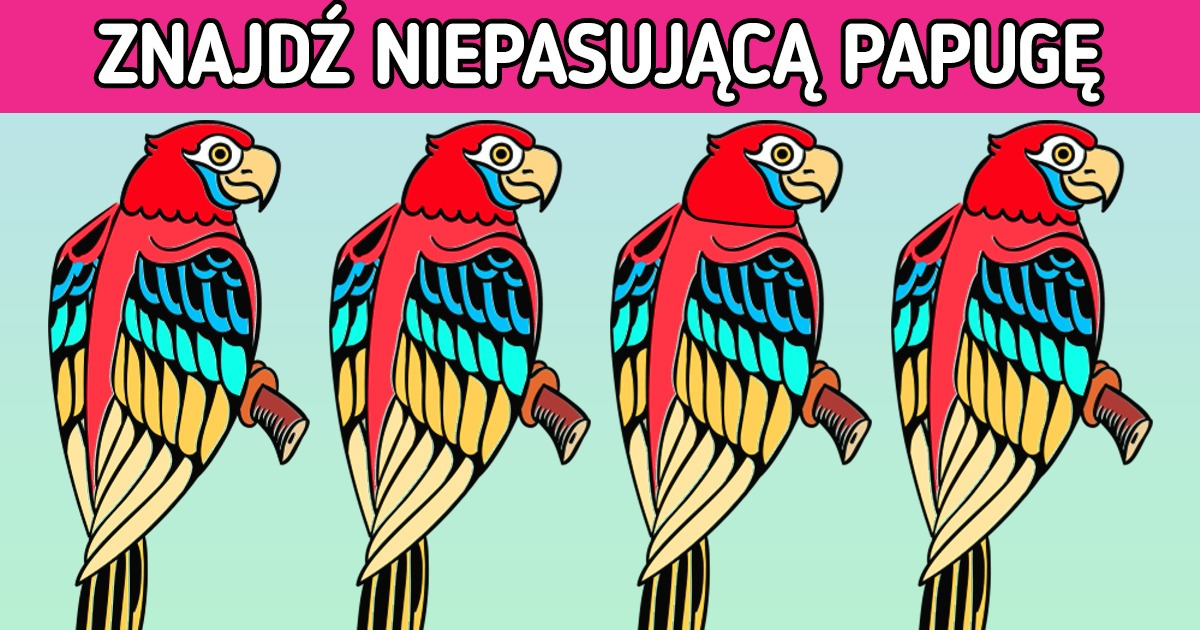 Wyzwanie: Znajdź intruza w mniej niż 5 minut