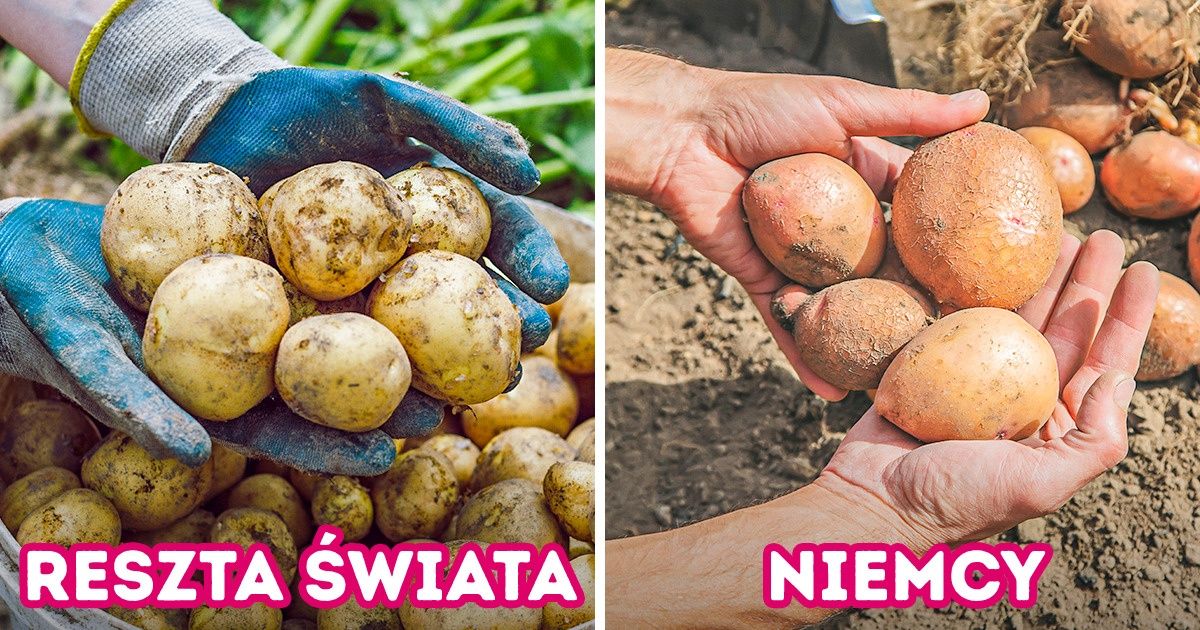 7 faktów o życiu w Niemczech, które nasuwają tylko jedną myśl: „Też tak chcemy!” 7 faktów o życiu w Niemczech, które nasuwają tylko jedną myśl: „Też tak chcemy!”