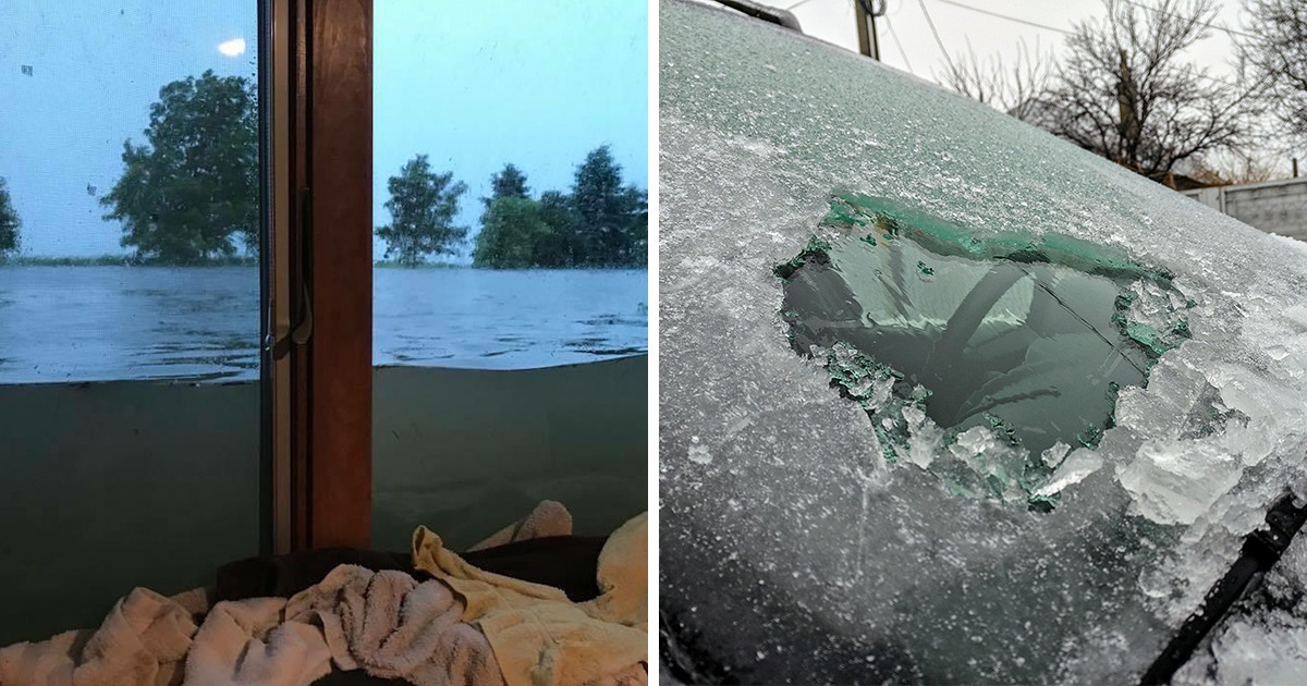 15 sytuacji, w których człowiek i natura mieli zupełnie inne plany