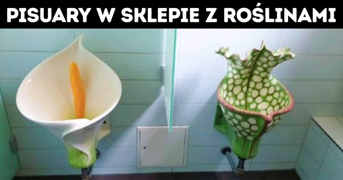 20 prekursorów designu, którzy wiedzą, jak nas zachwycić