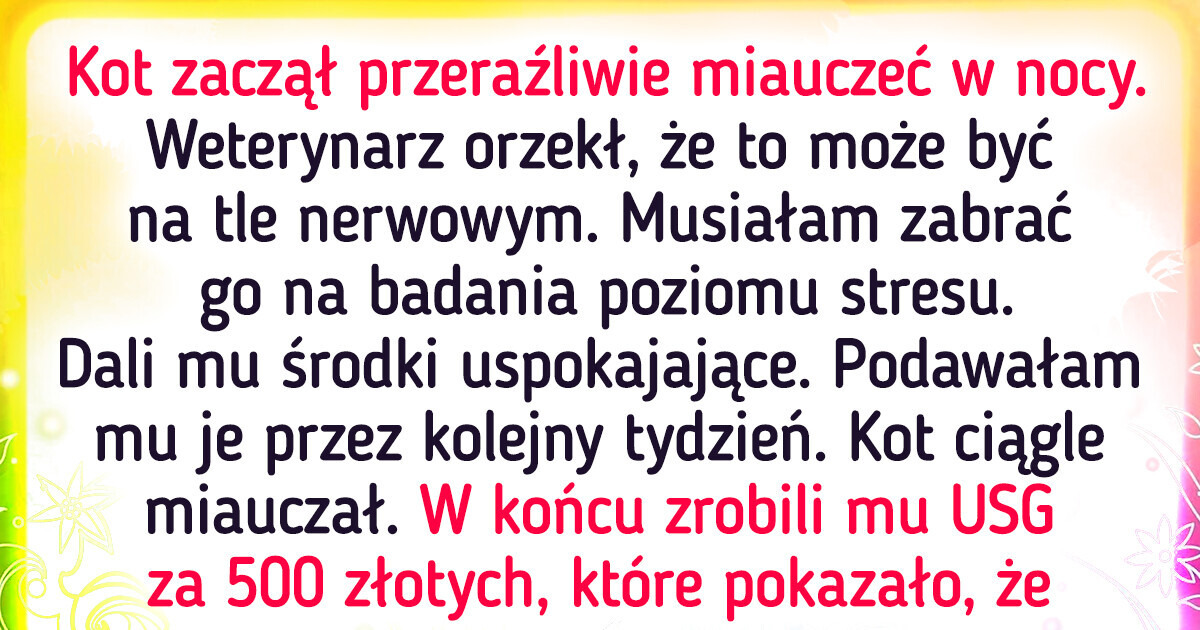 17 historii, które pokazują, że zwierzaki też mają swoje dziwactwa