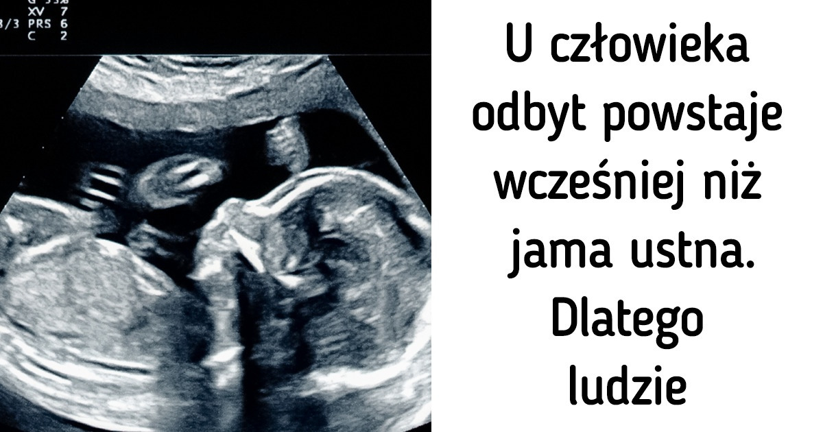 22 niezbyt przyjemne fakty, które mogą zmienić twoje postrzeganie świata