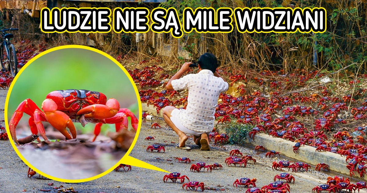 11 oszałamiających miejsc, które wyglądają jak z innego świata