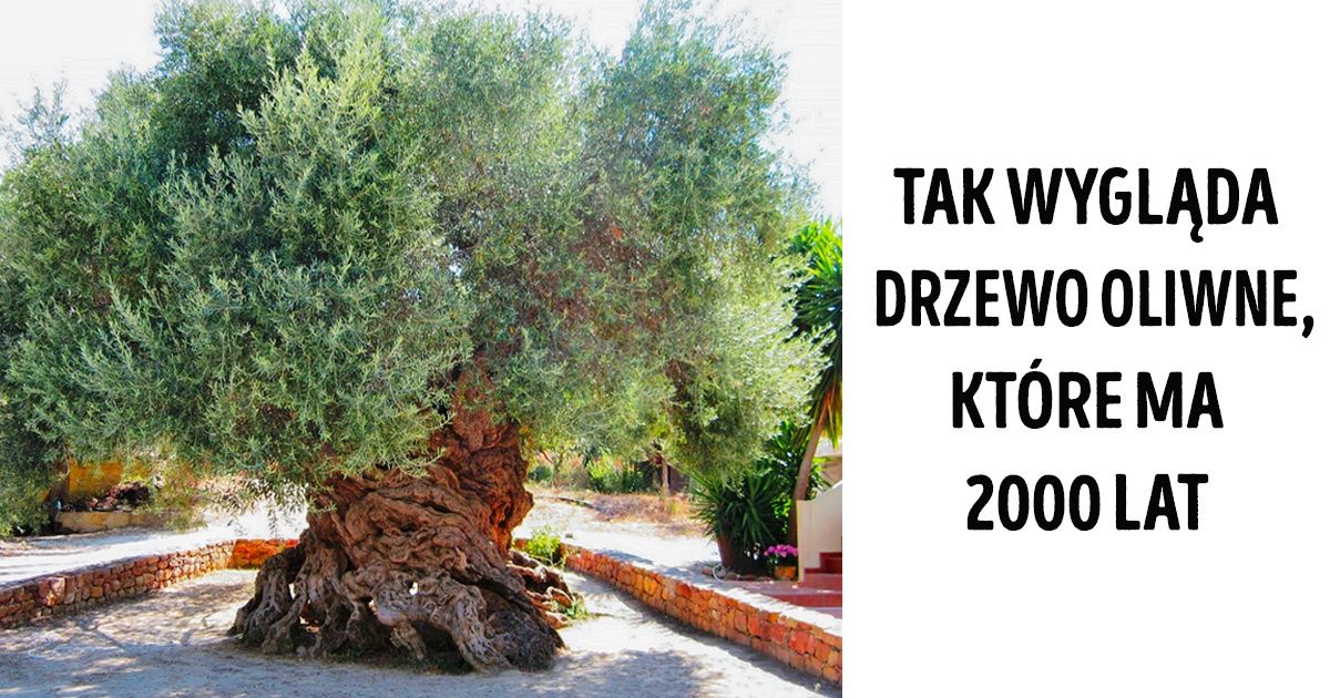 20 fascynujących niespodzianek, które zgotowała nam natura