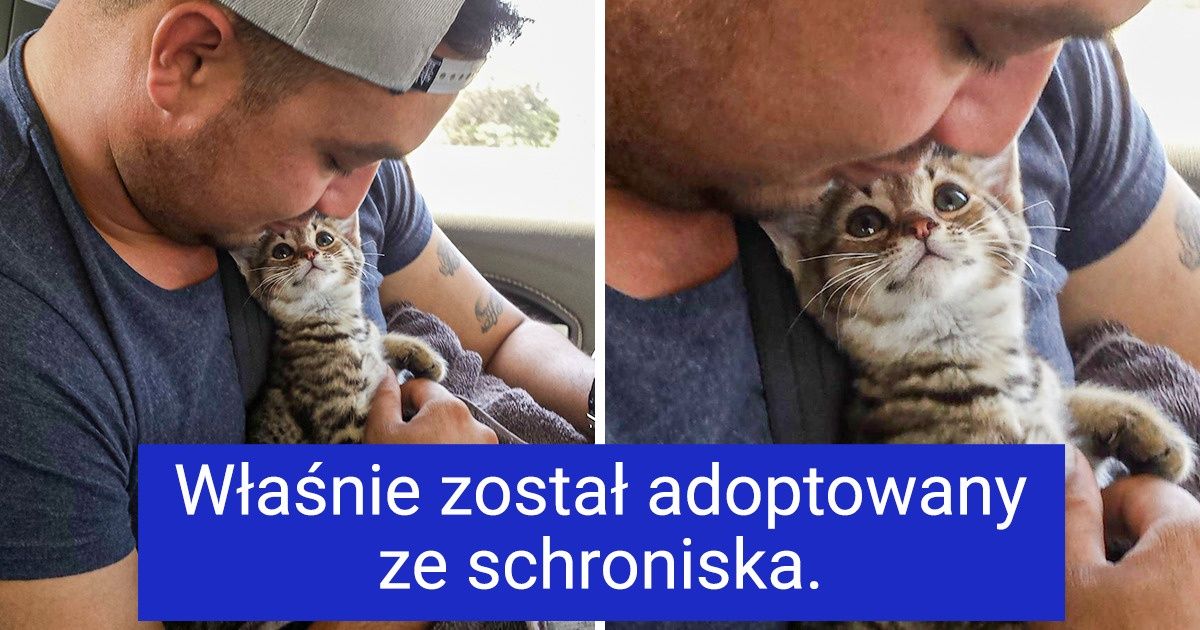 23 zwierzaki, które zaglądają swoim opiekunom w głąb duszy