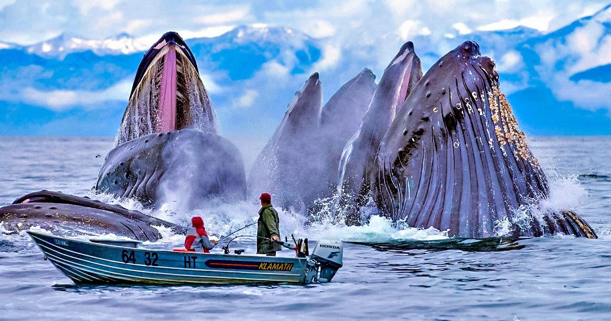 23 zdjęcia zrobione przez ludzi, którzy wykorzystali swoją niepowtarzalną szansę