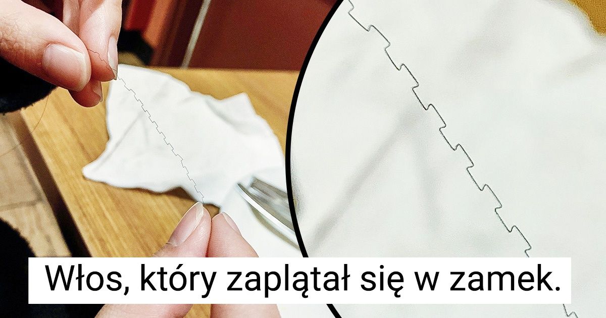 20 zdjęć dla osób, które każdego dnia uwielbiają uczyć się czegoś nowego