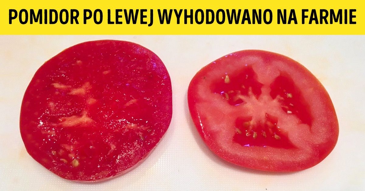 30 rzeczy, które niewielu z nas widziało na własne oczy