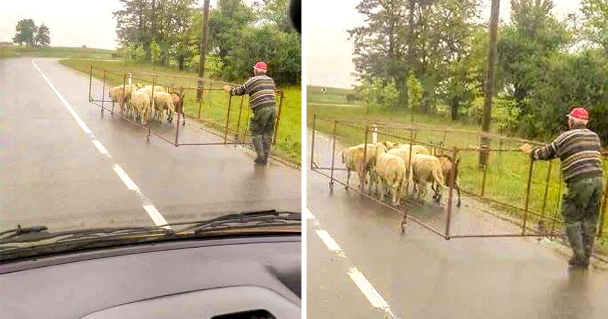 15 mężczyzn, którzy poradzą sobie z każdą niemożliwą misją