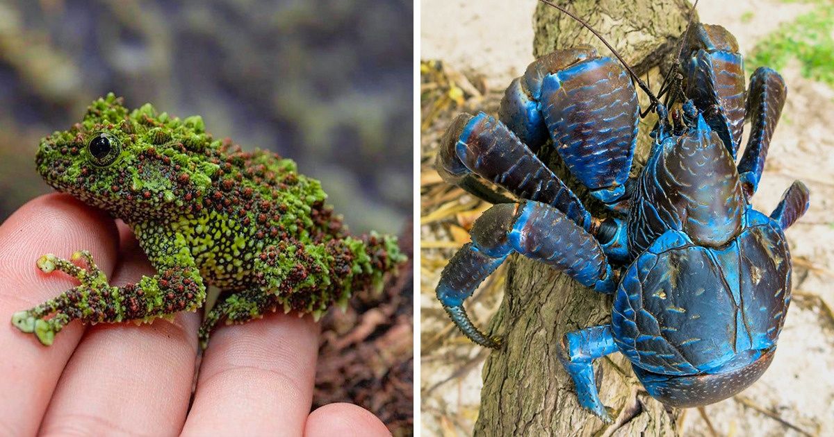 15 wybryków natury, które odjęły nam mowę