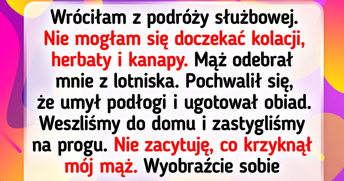16 zwierzaków, które jak nikt inny potrafią rozbawić swoich właścicieli 16 zwierzaków, które jak nikt inny potrafią rozbawić swoich właścicieli