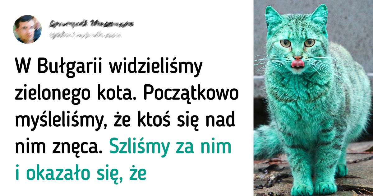 15+ przypadkowych zdjęć, które skrywają niesamowite historie