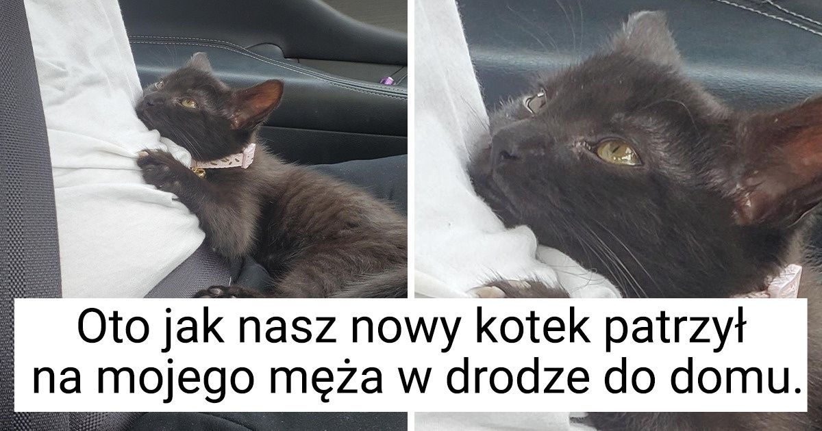 11 zwierzaków, którym miłość przychodzi tak naturalnie, jak oddychanie 11 zwierzaków, którym miłość przychodzi tak naturalnie, jak oddychanie