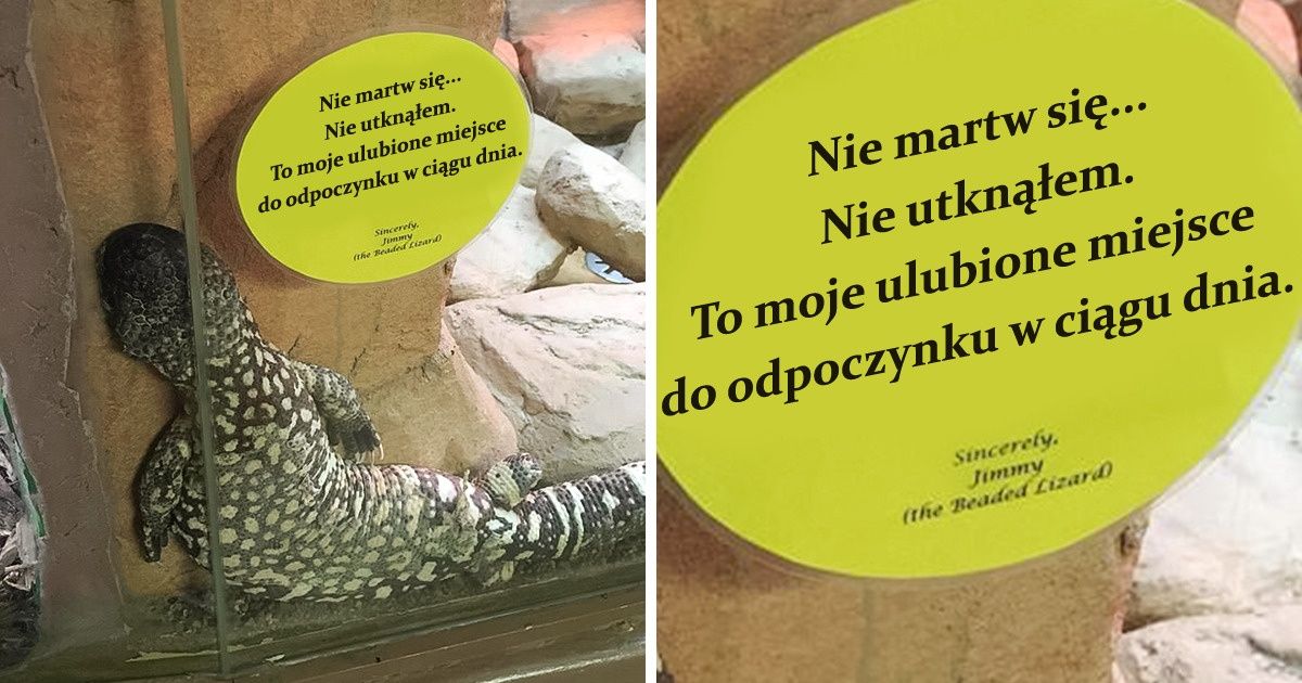 15 zdjęć, którym trzeba się uważnie przyjrzeć, aby zrozumieć, co jest grane