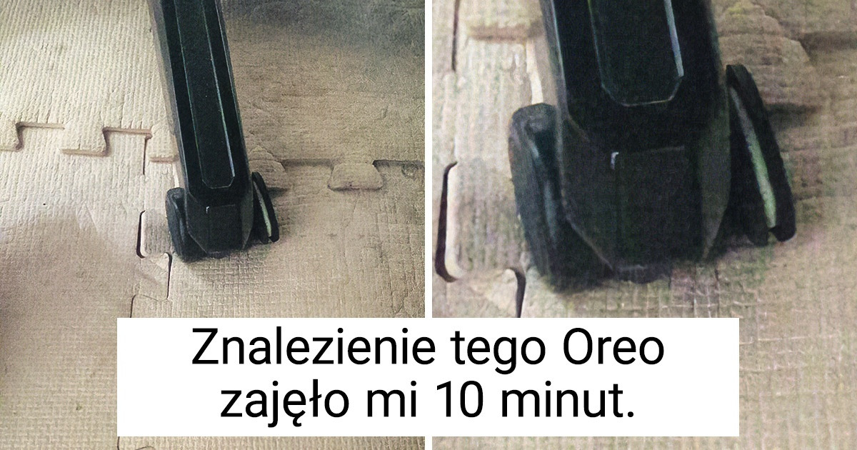 17 przykładów idealnego kamuflażu, na widok którego każdy ninja zzieleniałby z zazdrości